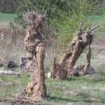 Skulpturen aus Weidenzweigen und Lehm