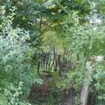 Kleines Tor aus Grünholz in der Hecke